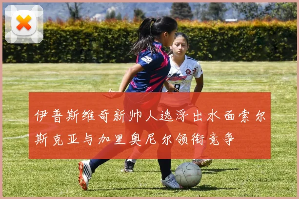 伊普斯维奇新帅人选浮出水面索尔斯克亚与加里奥尼尔领衔竞争