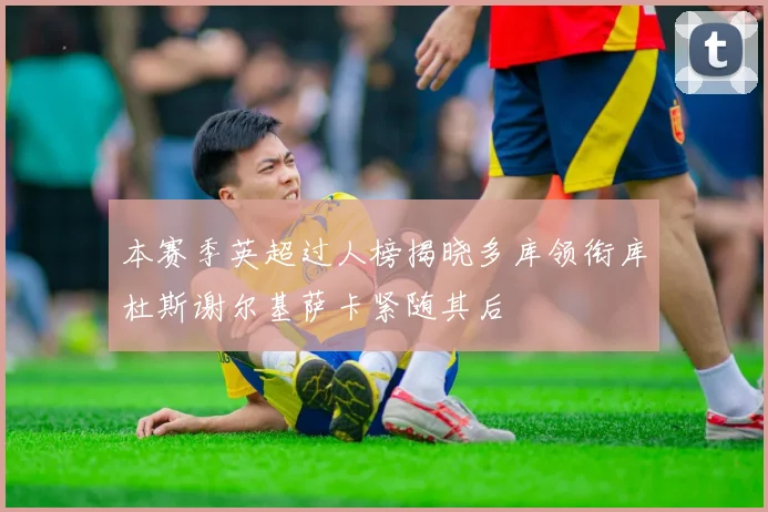 本赛季英超过人榜揭晓多库领衔库杜斯谢尔基萨卡紧随其后