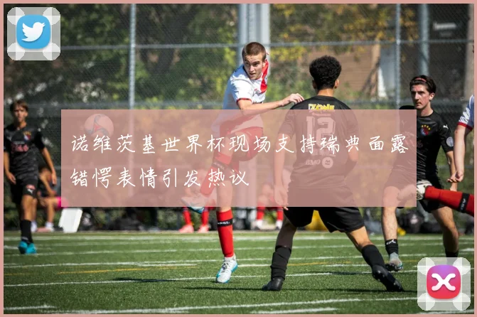 诺维茨基世界杯现场支持瑞典面露错愕表情引发热议
